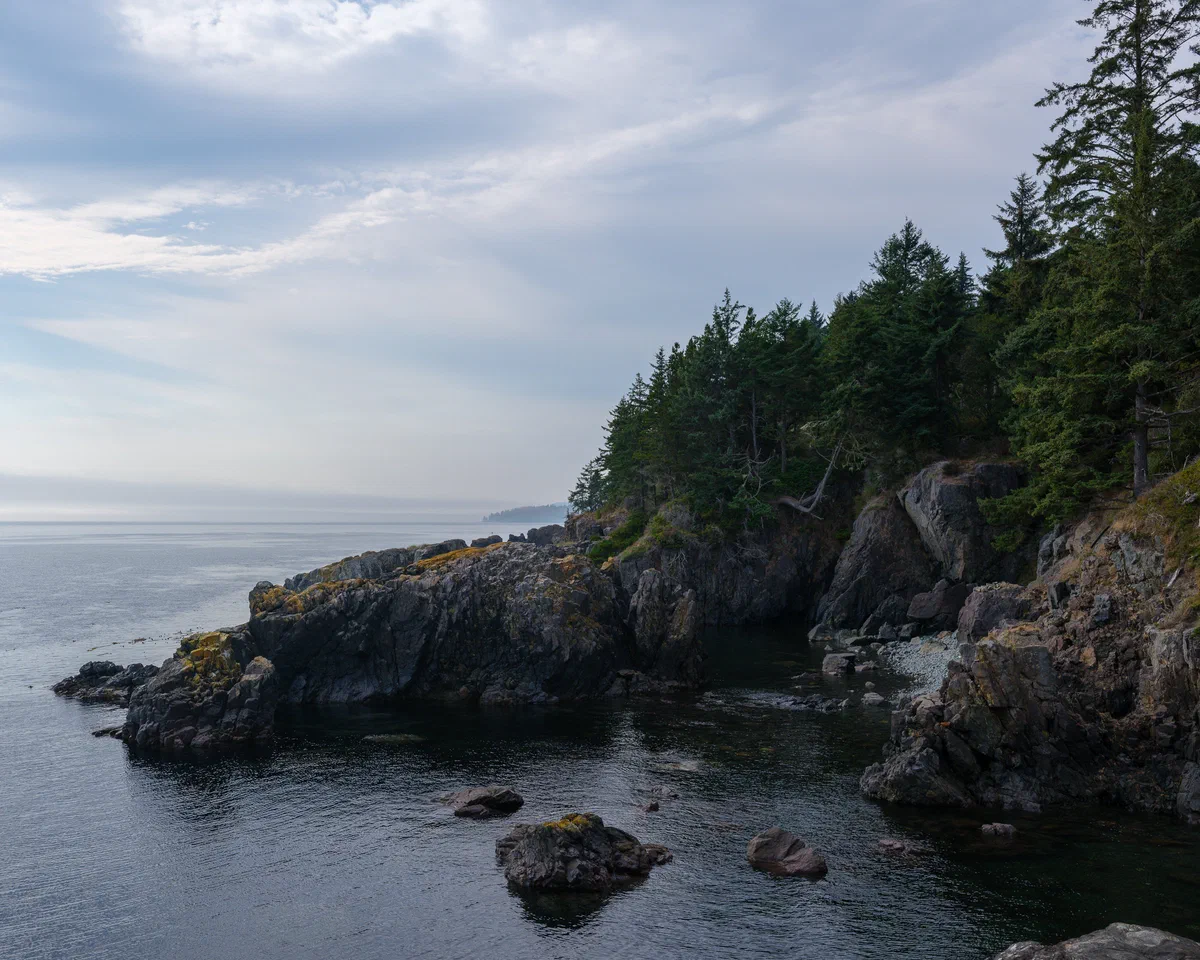 Coastal Gaurdians