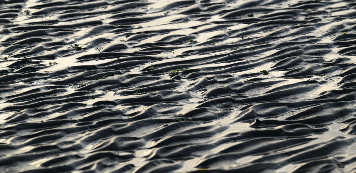 Coastal Imprints