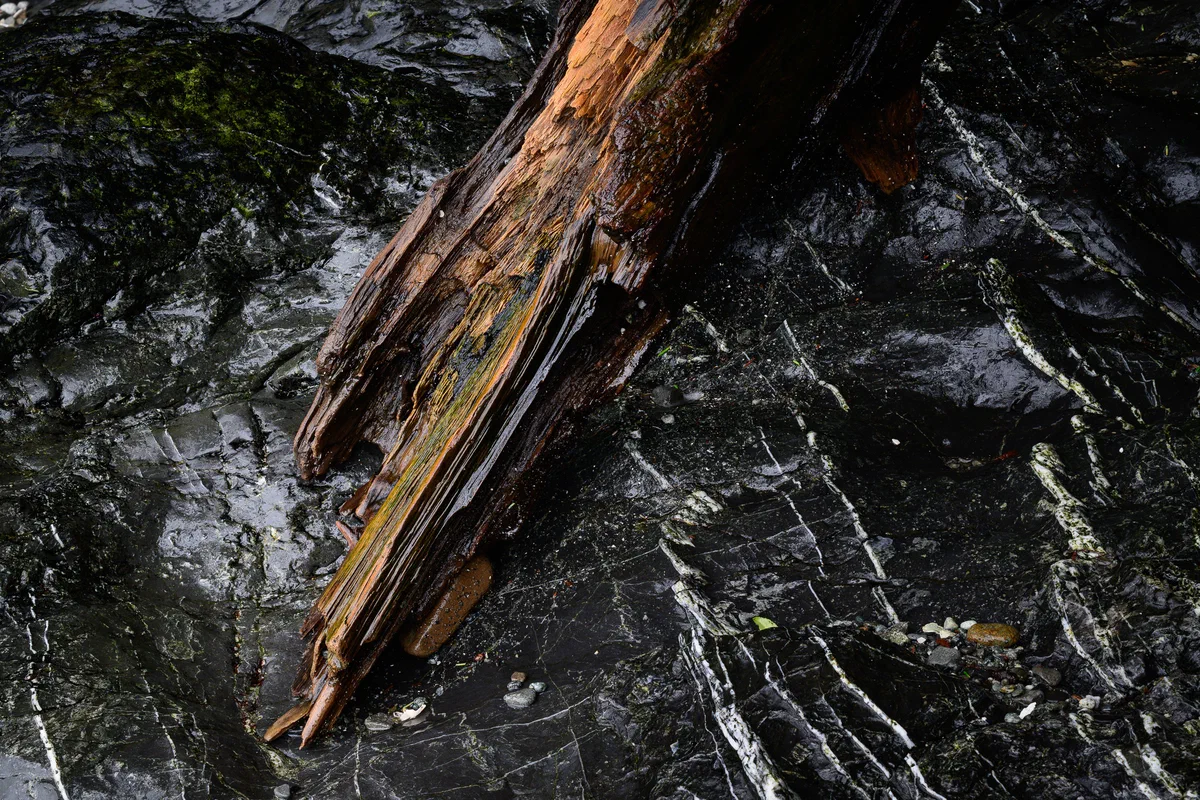 Driftwood and Stone