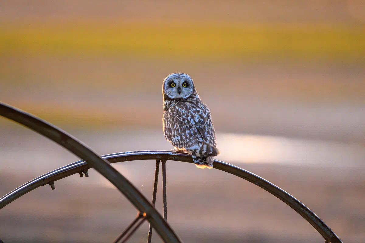 Enjoying the sunset