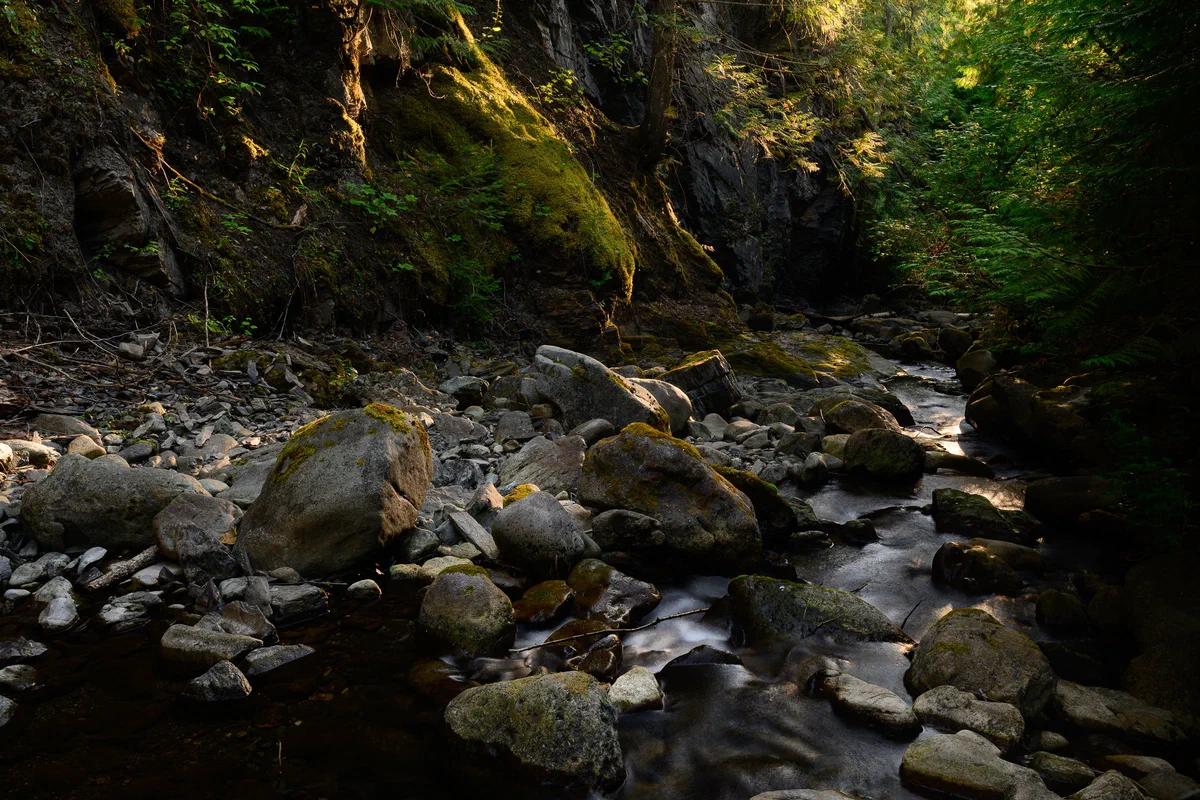 Evening Light