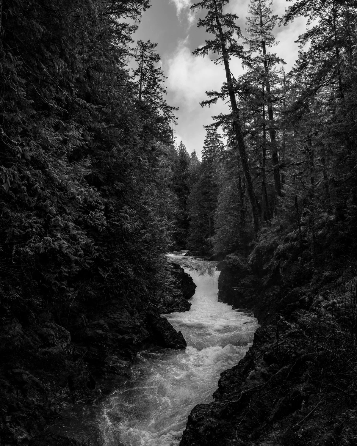Little Qualicum River