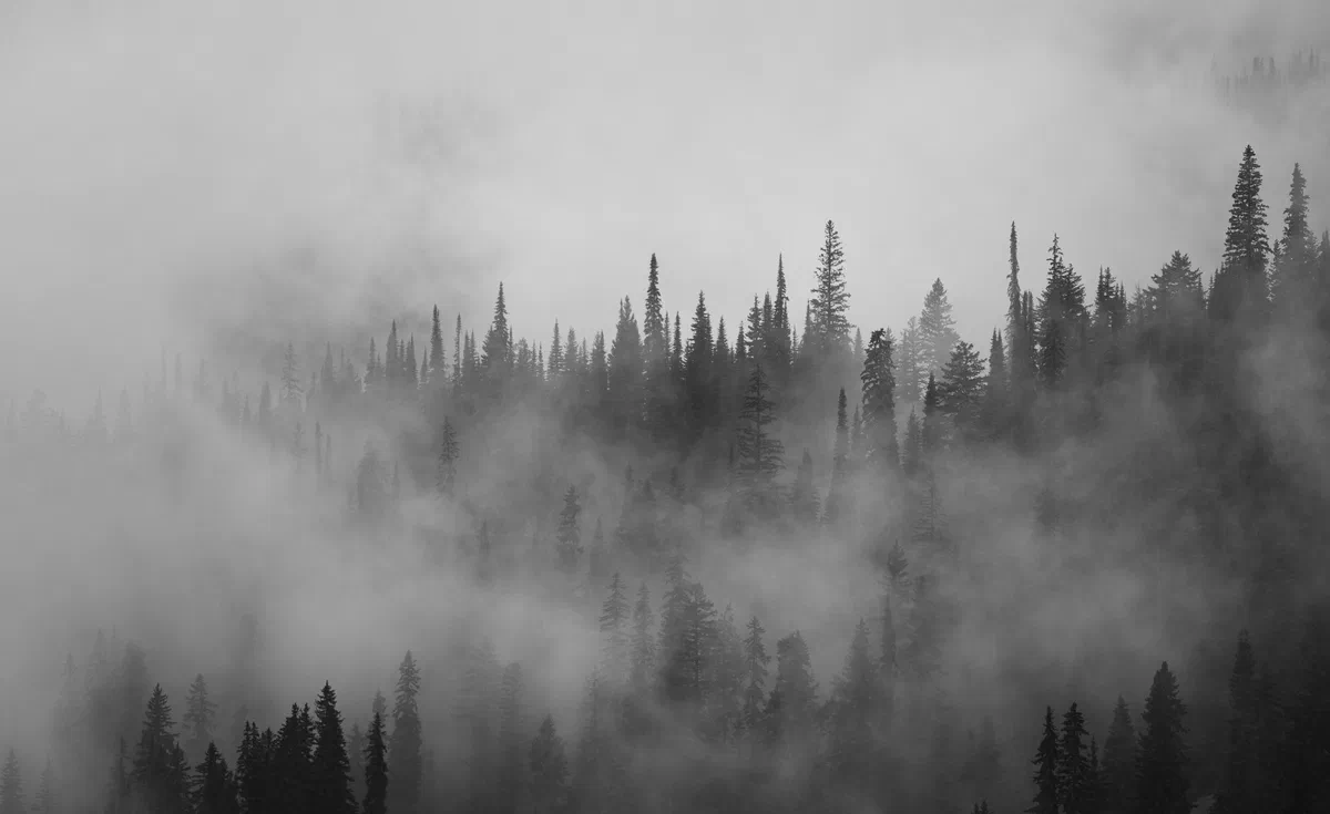 Morning Storm