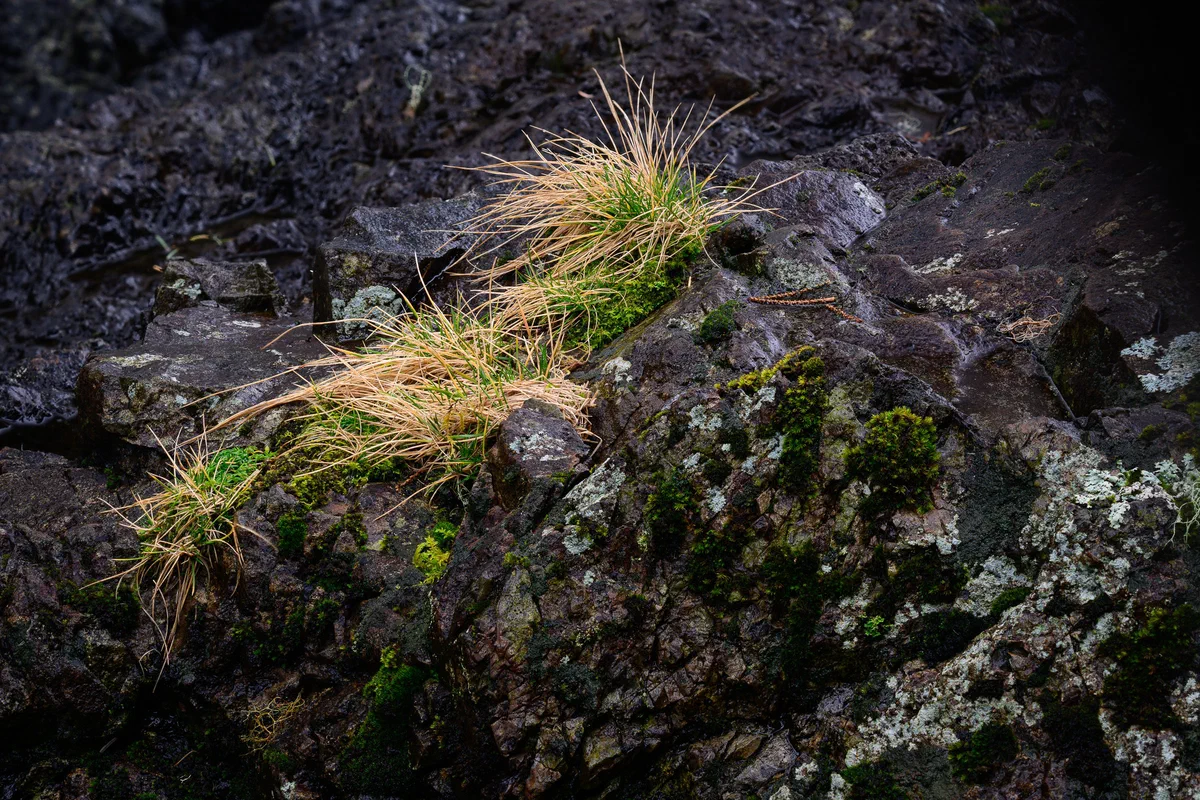 Signs of life