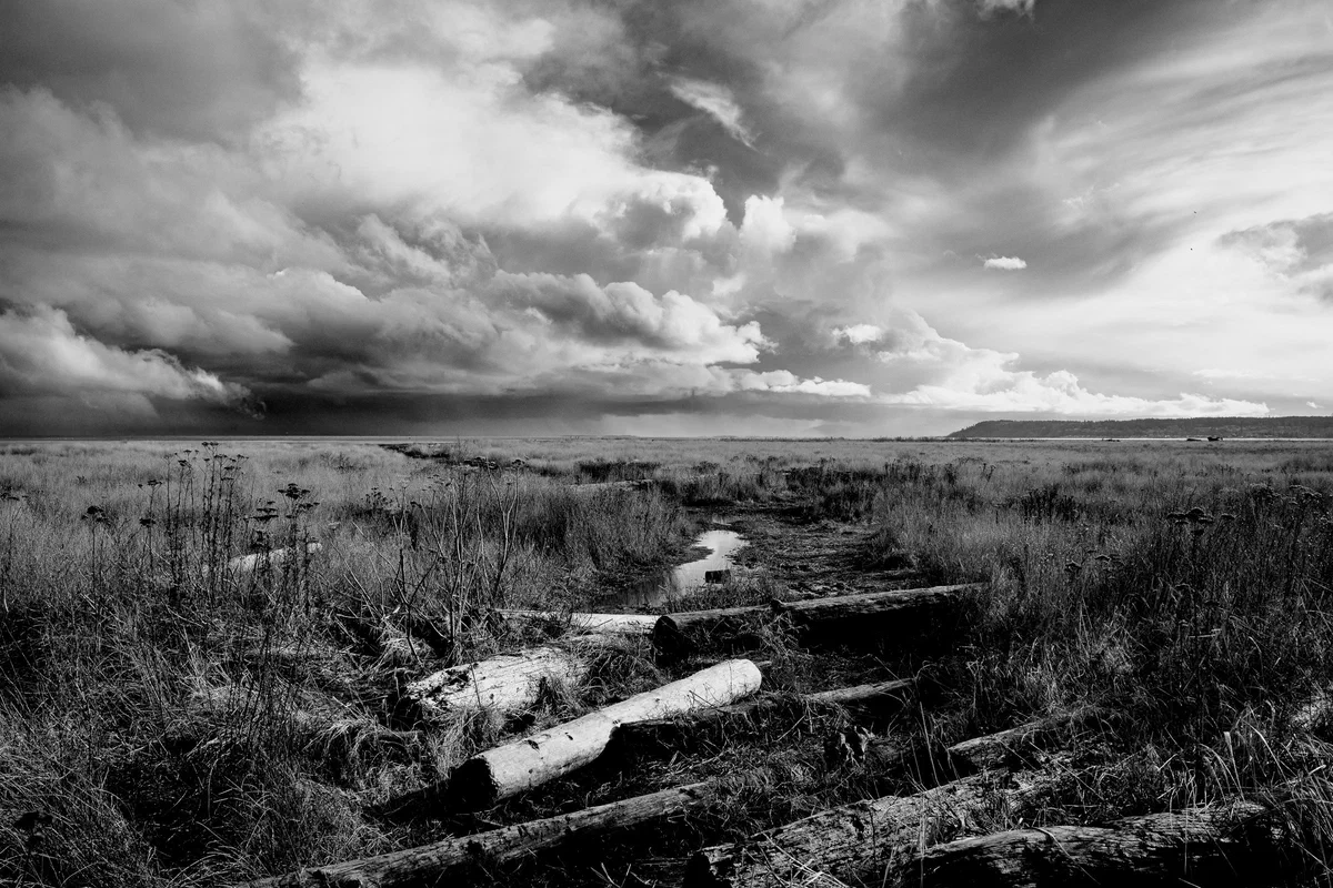Storm Clearing