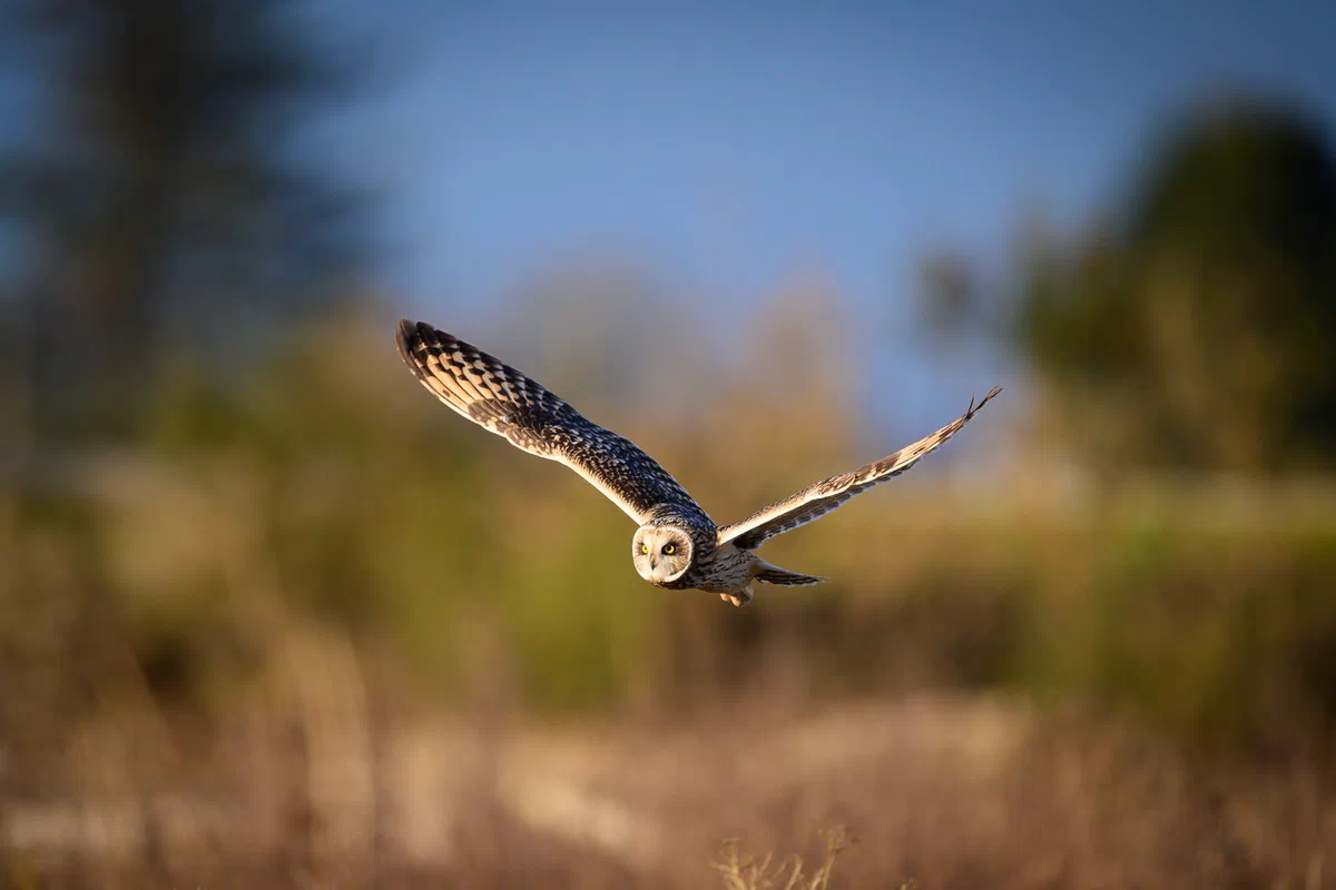 Sunset takeoff