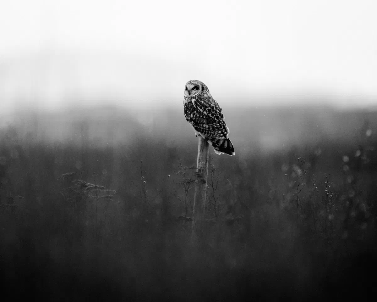 Waiting