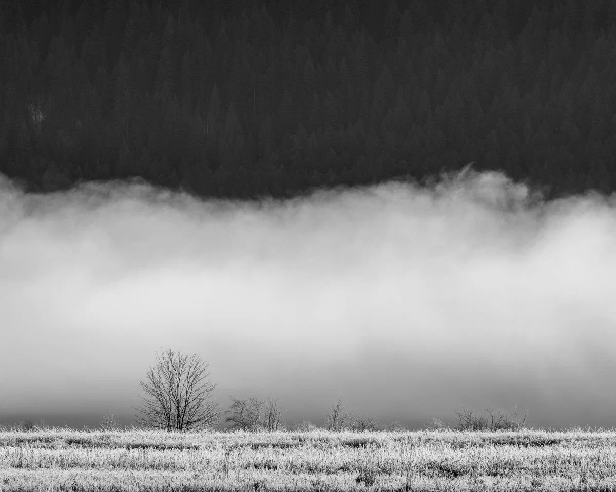 Wall of Fog